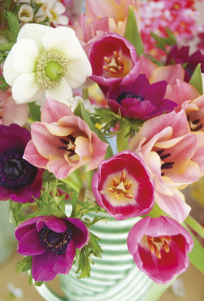 Posies & Petals