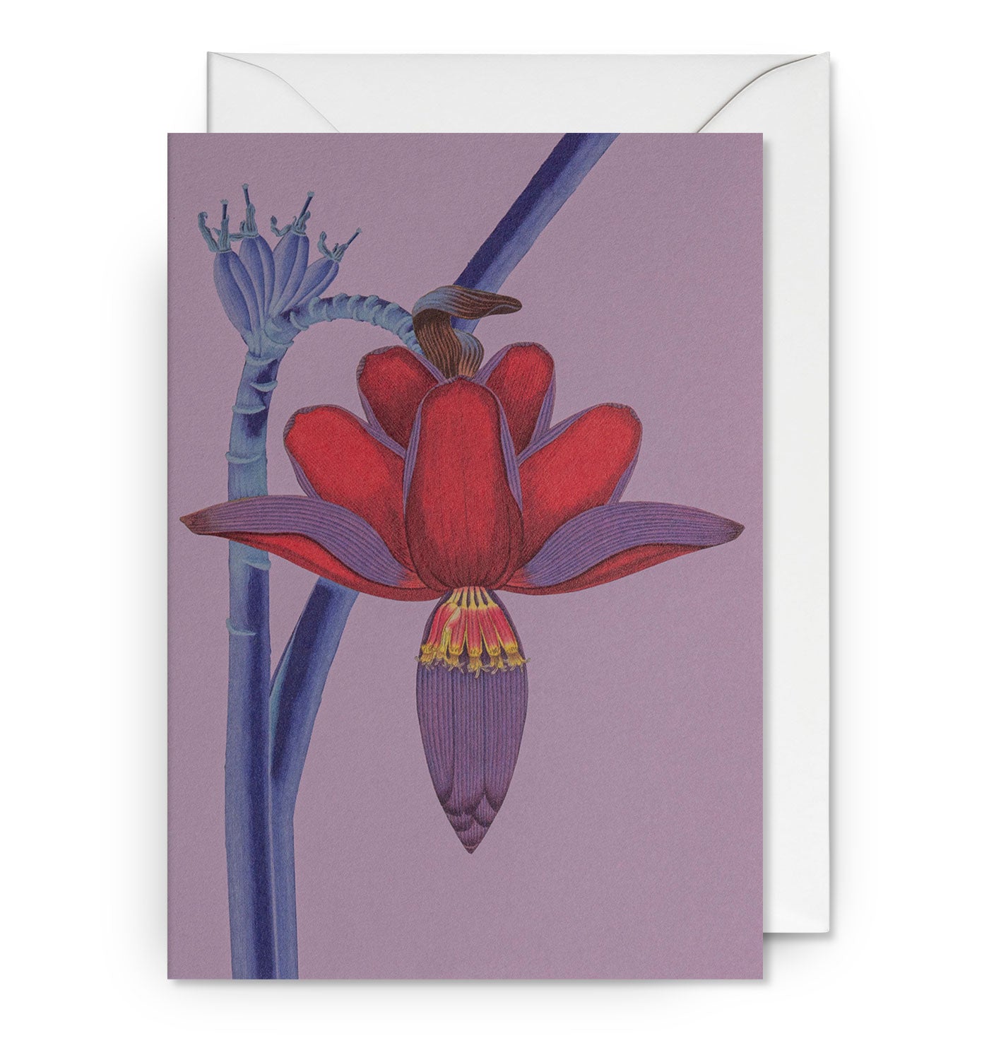 Lagom Floral
