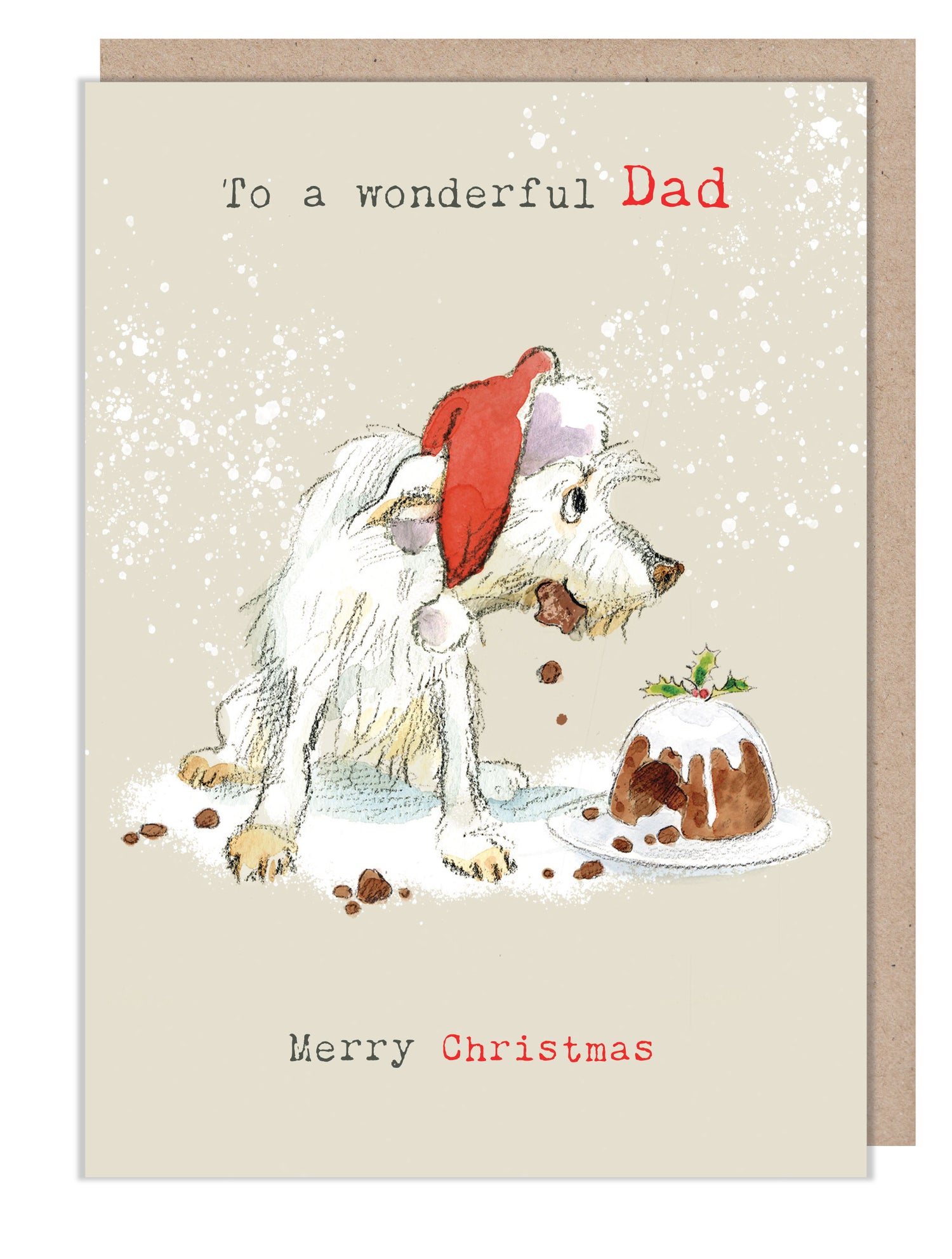 Father Christmas Cards