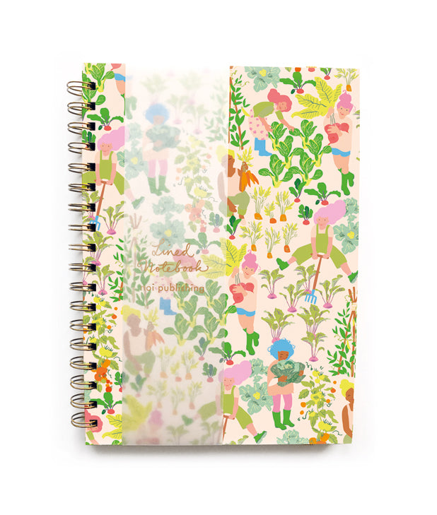 NOI Notebooks