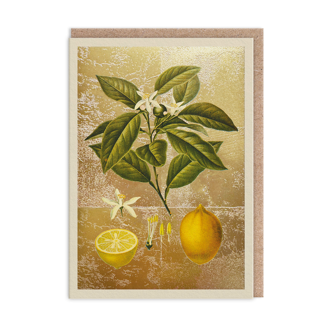 Blank Greeting Cards