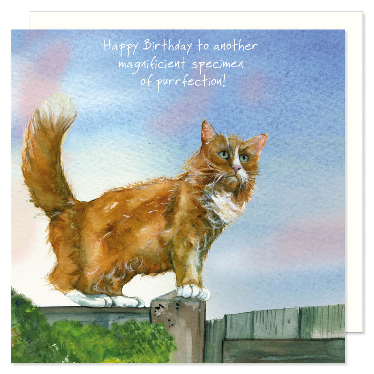 Birthday Cards (General)