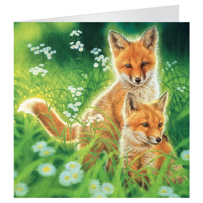 LiveLife 3D Cards