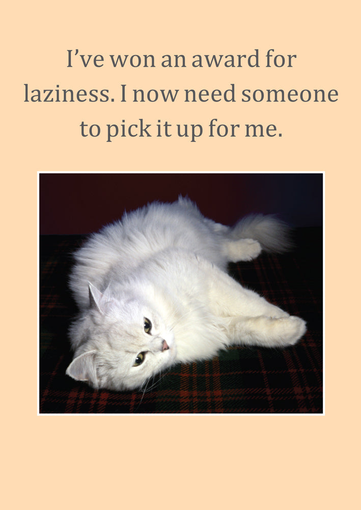 Cats & Canines