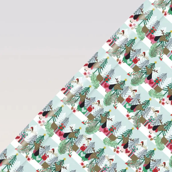Gift Wrap/ Bags
